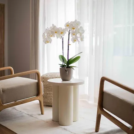 Bed & Breakfast Clos De La Barbanne Montagne (Gironde)