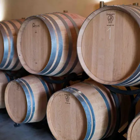 Clos De La Barbanne * Montagne (Gironde)