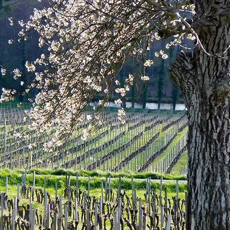 Clos De La Barbanne Bed & Breakfast Saint-Christophe-des-Bardes