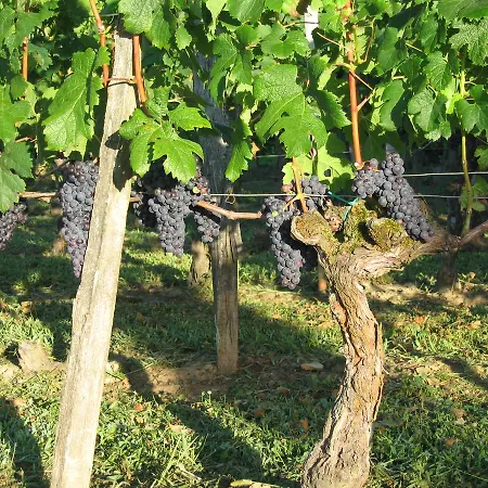 Clos De La Barbanne 3* Saint-Christophe-des-Bardes