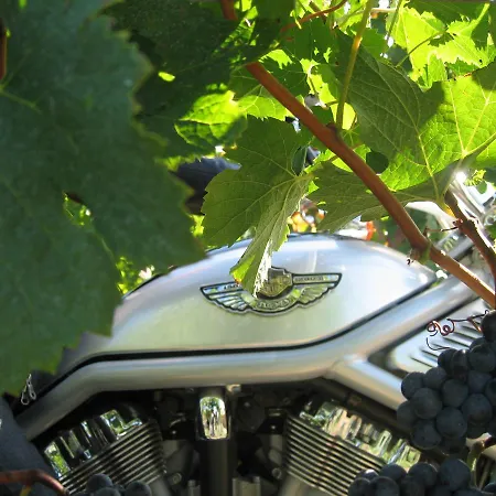 Bed & Breakfast Clos De La Barbanne 3*